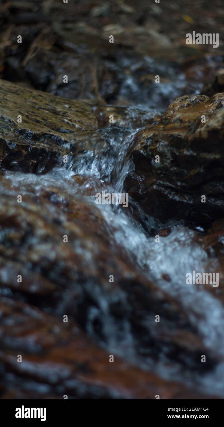 Nahaufnahme des Gebirgsflusses fließt zwischen malerischen Sommersteinen. Felsen in den Bergen mit fließendem Wasser Stockfoto
