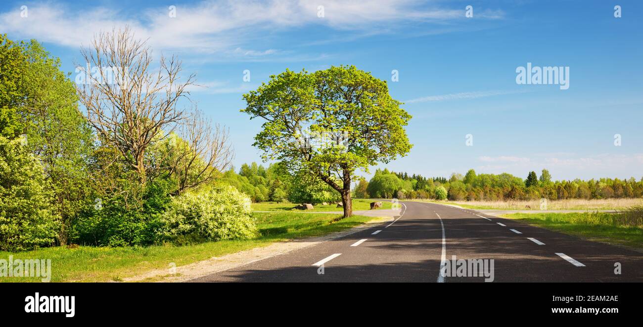 Asphalt Straße Panorama auf Land an sonnigen Sommertag Stockfoto