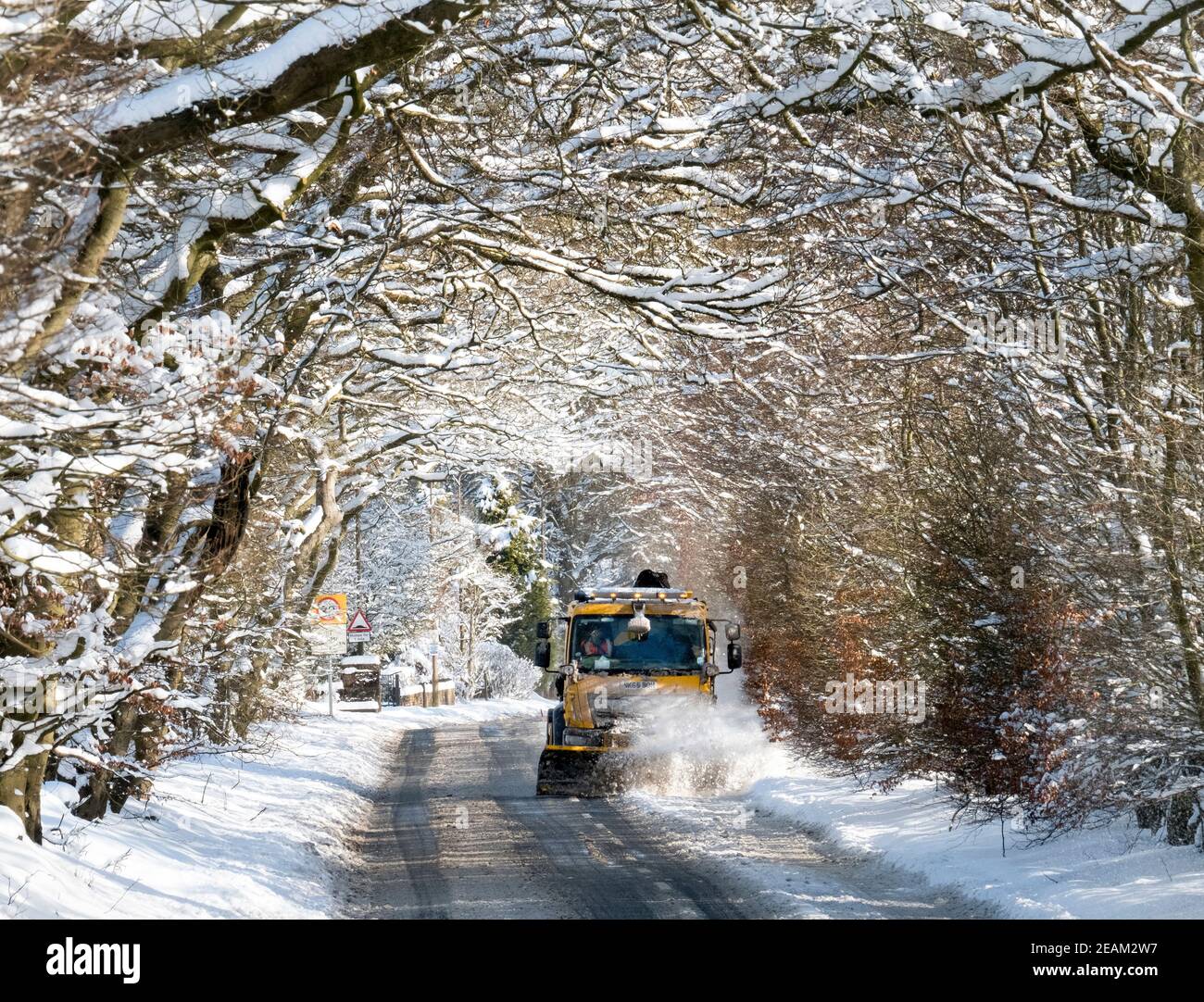 West Lothian, Schottland. Wetter: 10th Februar, 2021 Sturm Darcy: Ein Schneepflüge reinigt Schnee durch eine Allee von Bäumen in der Nähe von Stoneyburn, West Lothian, Schottland, Großbritannien. . Quelle: Ian Rutherford/Alamy Live News. Stockfoto