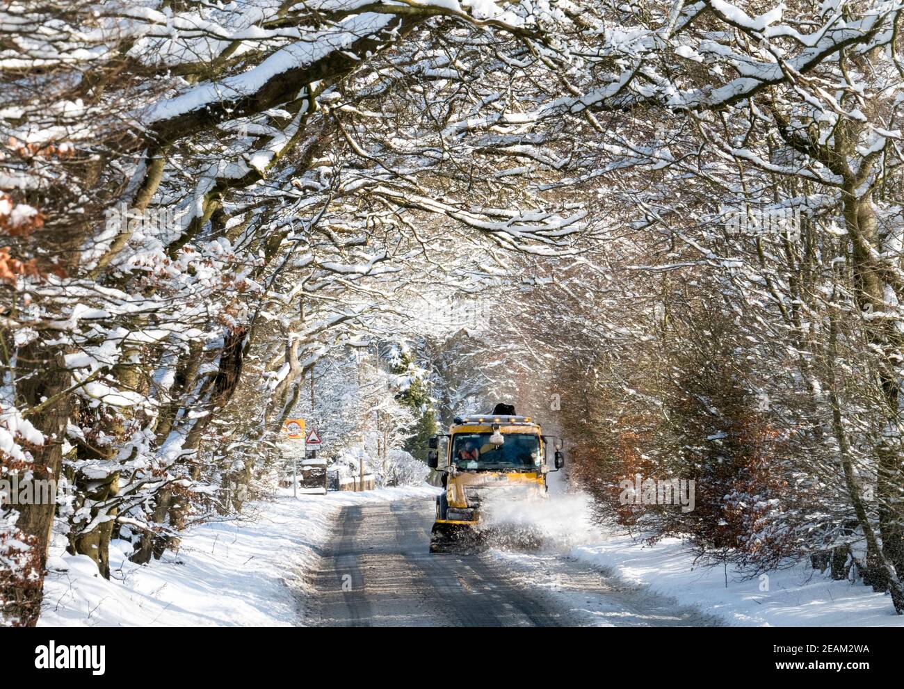West Lothian, Schottland. Wetter: 10th Februar, 2021 Sturm Darcy: Ein Schneepflüge reinigt Schnee durch eine Allee von Bäumen in der Nähe von Stoneyburn, West Lothian, Schottland, Großbritannien. . Quelle: Ian Rutherford/Alamy Live News. Stockfoto