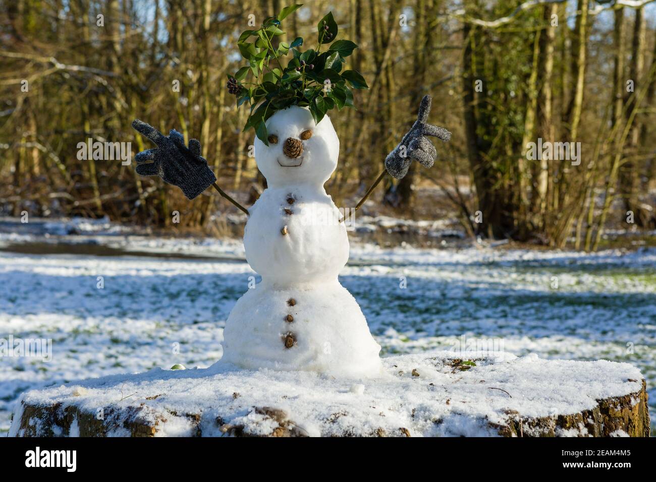 Niedlicher Schneemann aus drei Schneebällen mit Blättern für Haare, Zweige für Arme mit Kinderhandschuhen, Tannenzapfen für Nase und Steine für Knöpfe. Stockfoto