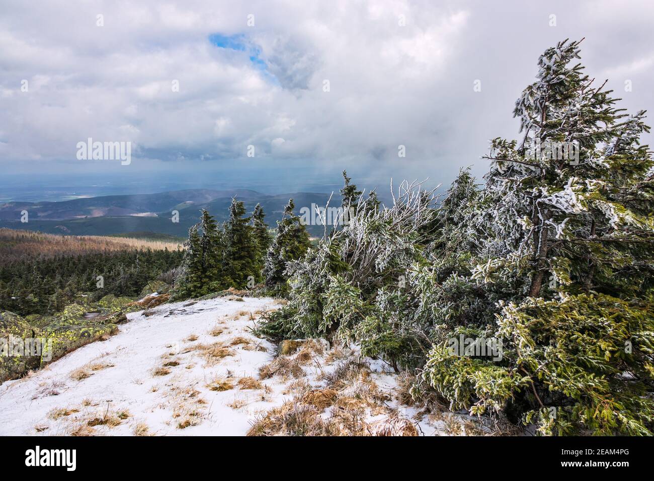 Landschaft mit Bäumen im Harz, Deutschland Stockfoto