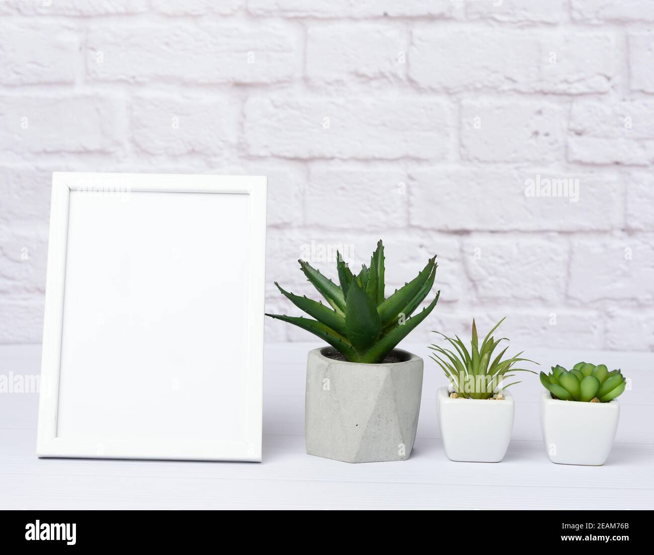 Leerer weißer Holzrahmen und grüne Sukkulenten in einer Keramik Topf Stockfoto
