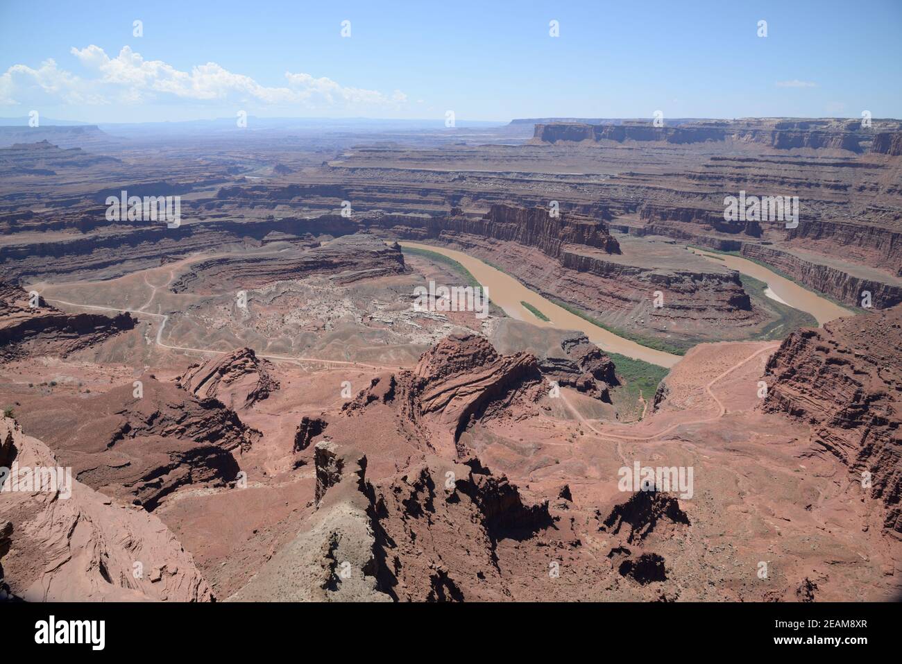 Blick vom Dead Horse Point State Park in Richtung Canyonlands National Park und Colorado River Stockfoto