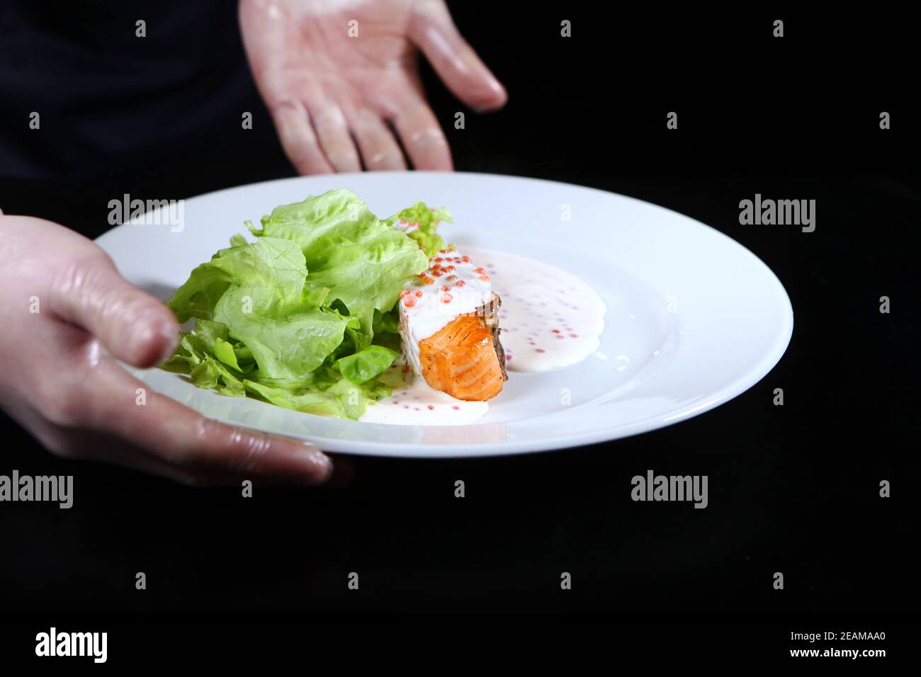 Lachs in cremiger Kaviarsauce auf einem weißen Teller. Der Koch serviert das zubereitete Gericht. Salatblätter. Foto auf schwarzem Hintergrund. Nicht erkennbare Person. Stockfoto
