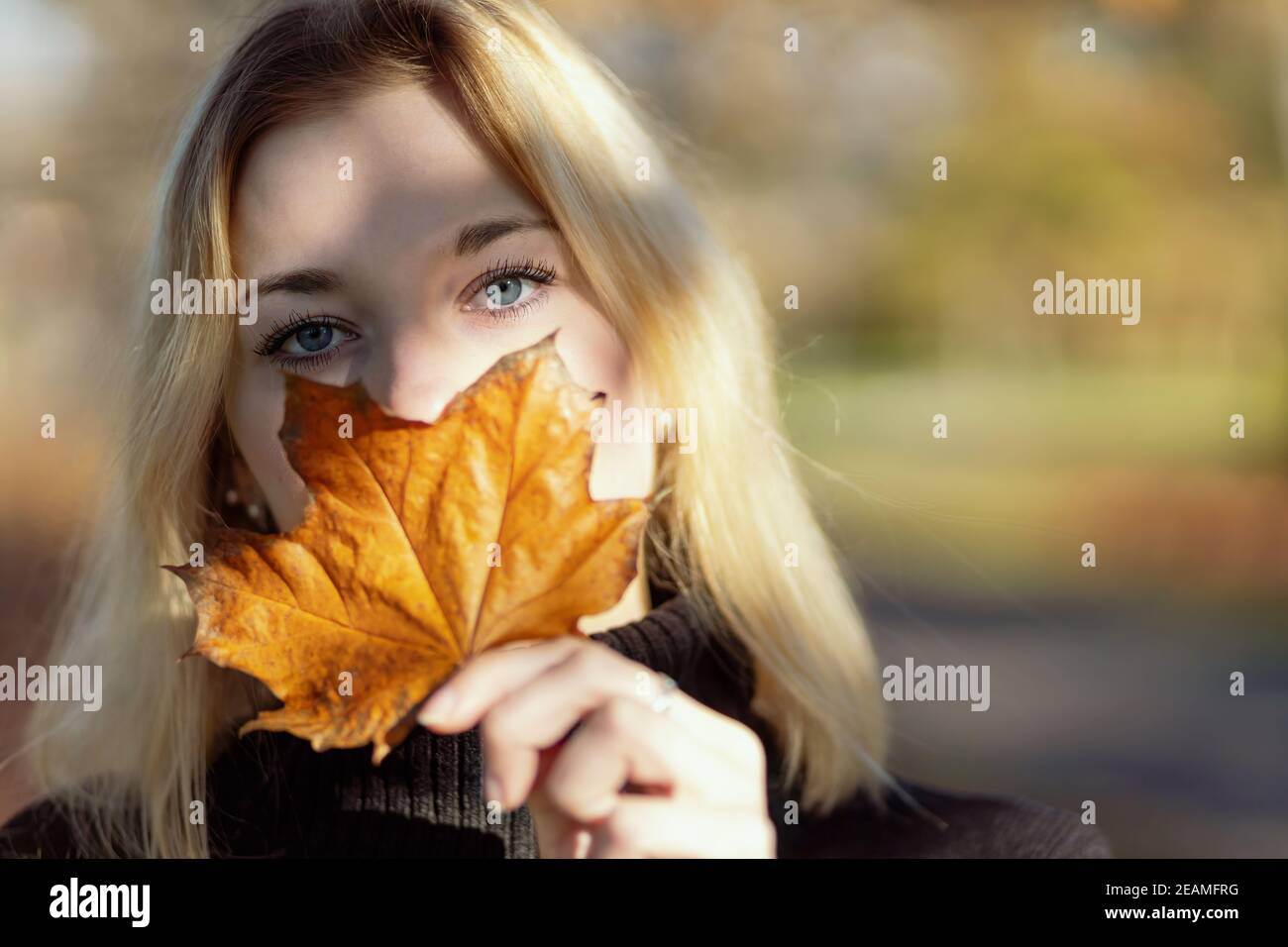 Portrait von attraktiven Mädchen bedeckt ihr Gesicht von Ahornblatt. Stockfoto