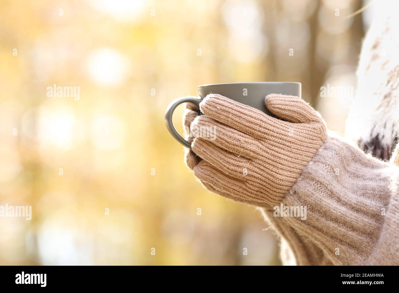 Frau Hände mit Handschuhen halten Kaffeebecher im Herbst Stockfoto