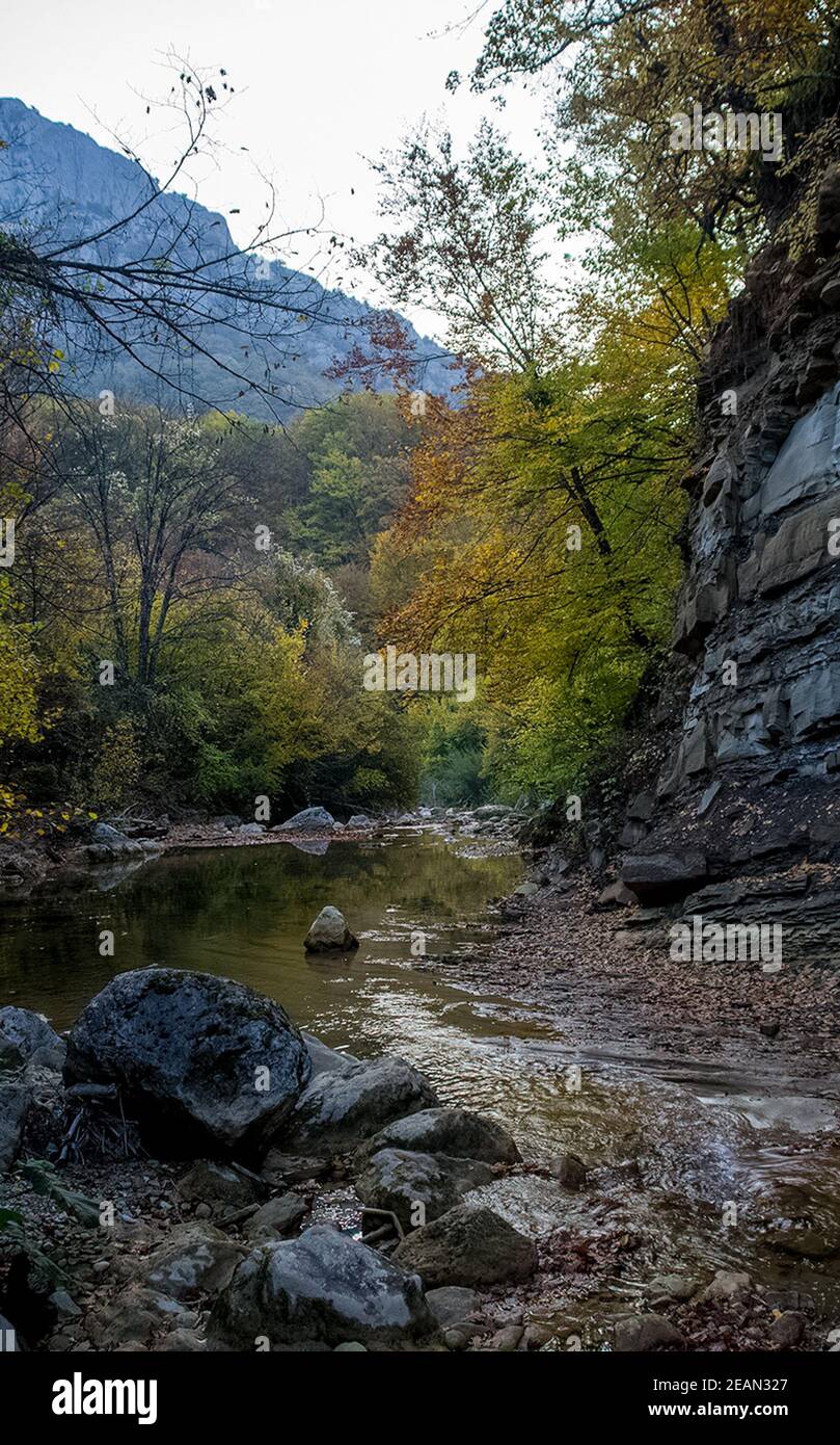 Berg kleiner Fluss im Wald mit Stromschnellen und Wasserfällen. Ein Waldbach. Stockfoto