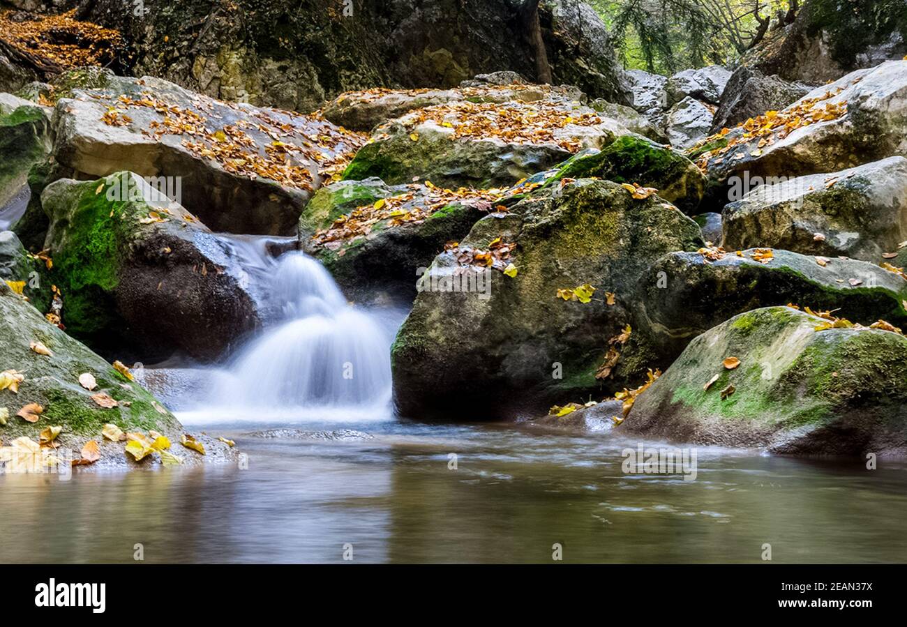 Berg kleiner Fluss im Wald mit Stromschnellen und Wasserfällen. Ein Waldbach. Stockfoto