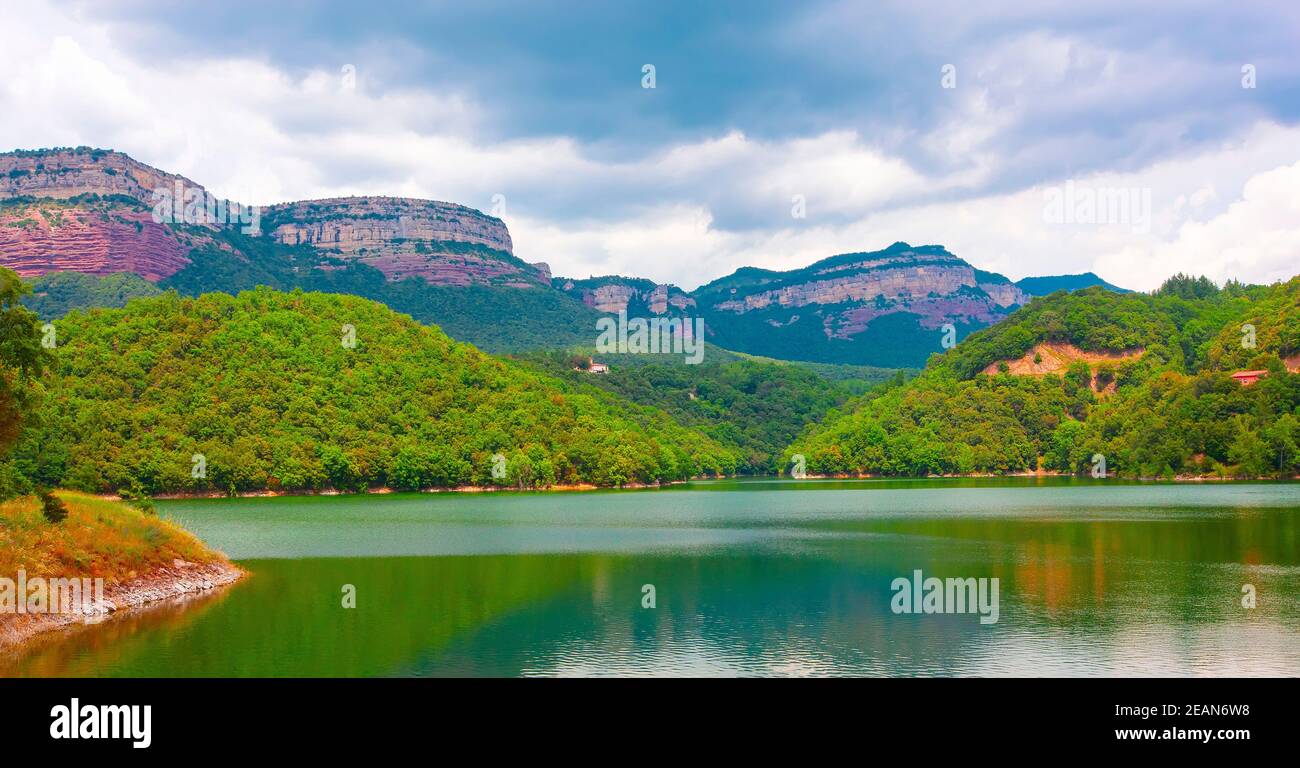 Sumpf im Stausee Sau, Katalonien, Spanien. Stockfoto