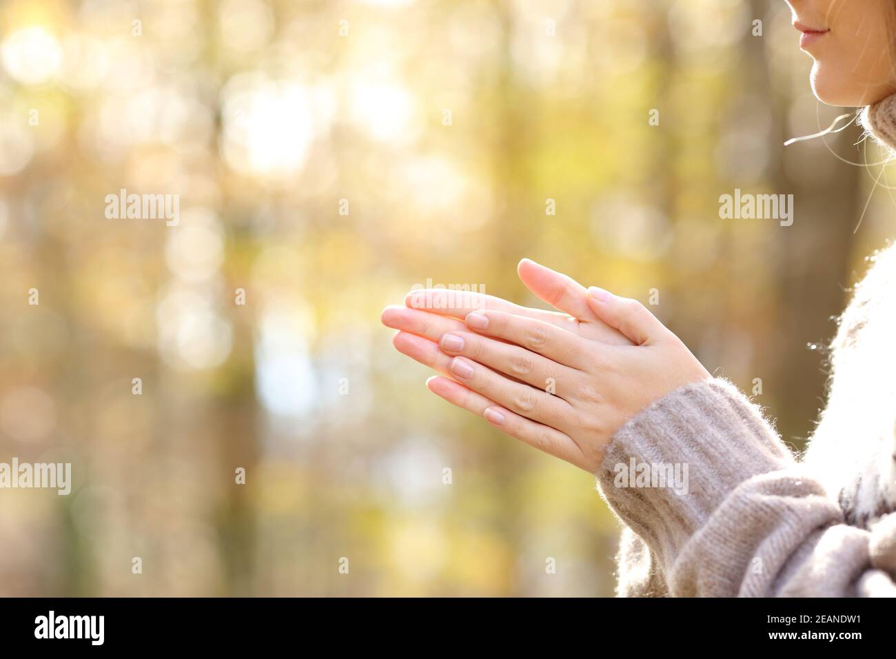 Frau, die in einem kalten Herbst die Hände reibt und erhitzt Stockfoto