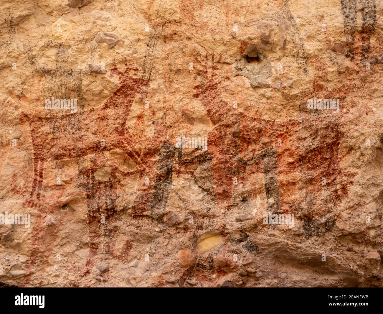 Felszeichnungen der Cochimi, Palmarito Cave, Sierra San Francisco, UNESCO Weltkulturerbe, Baja California Sur, Mexiko Stockfoto