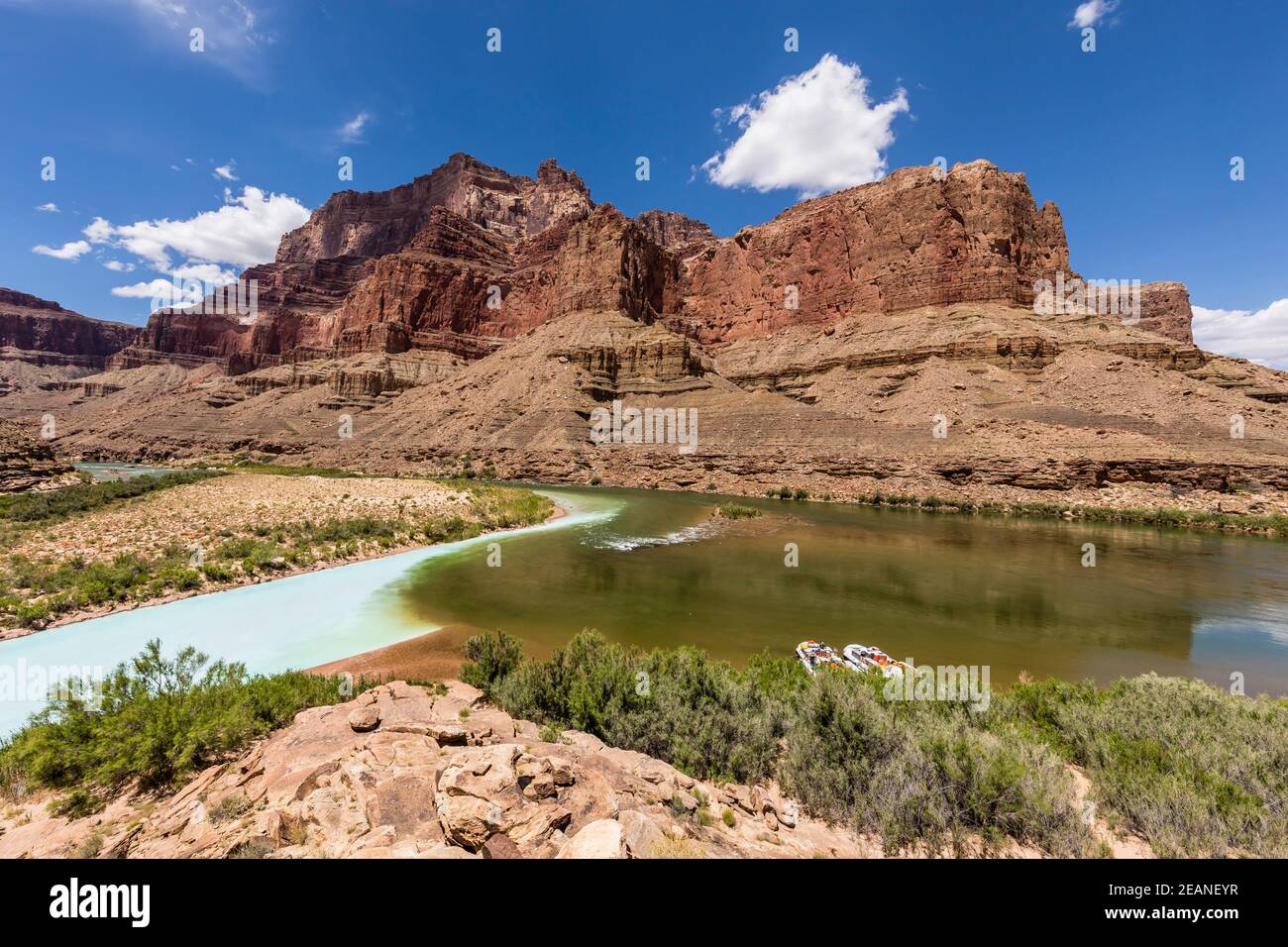 Zusammenfluss des Little Colorado und Colorado Rivers, Grand Canyon National Park, UNESCO Weltkulturerbe, Arizona, Vereinigte Staaten von Amerika Stockfoto