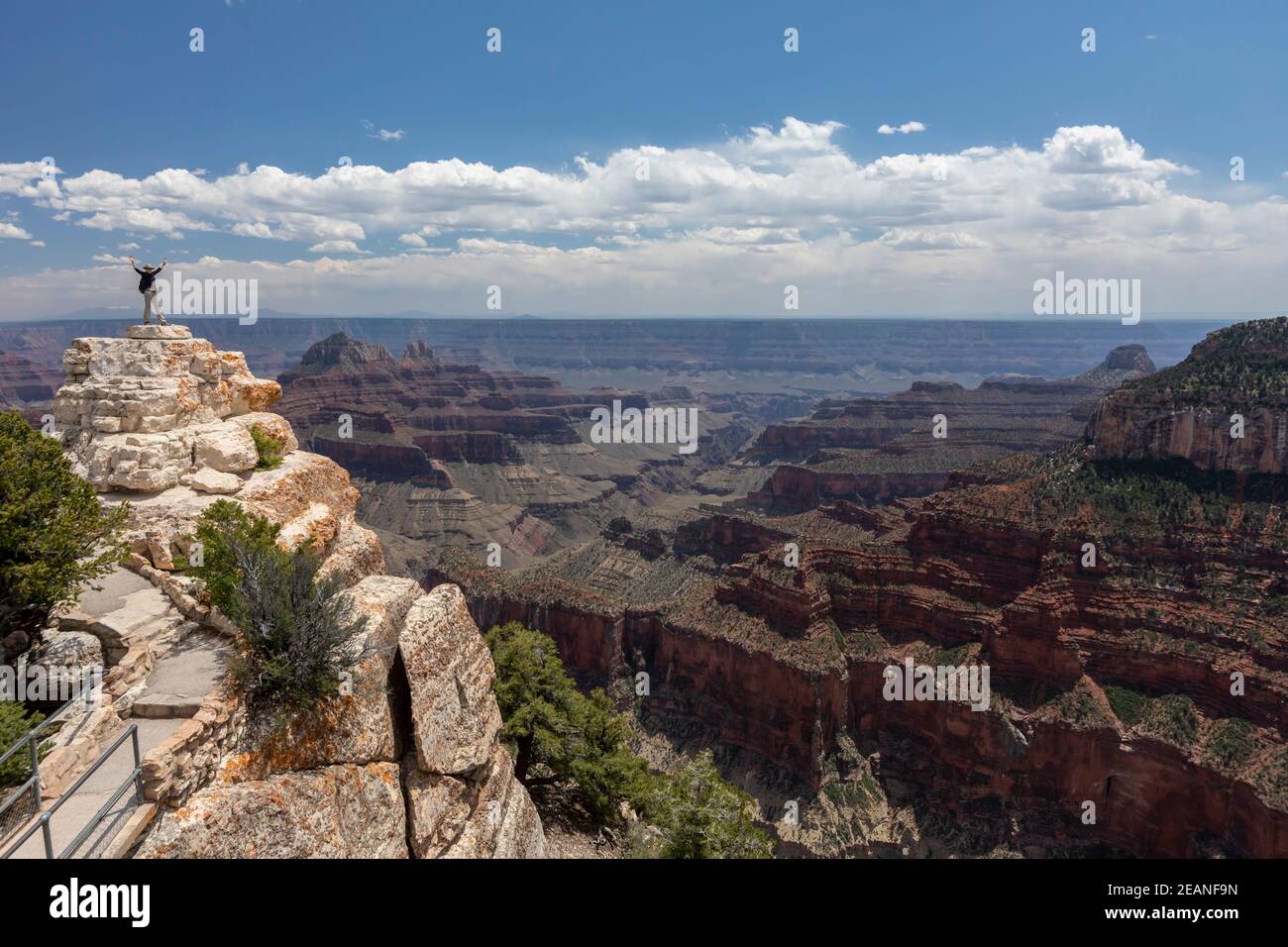 Blick auf den Nordrand des Grand Canyon National Park von Bright Angel Point, UNESCO-Weltkulturerbe, Arizona, USA Stockfoto