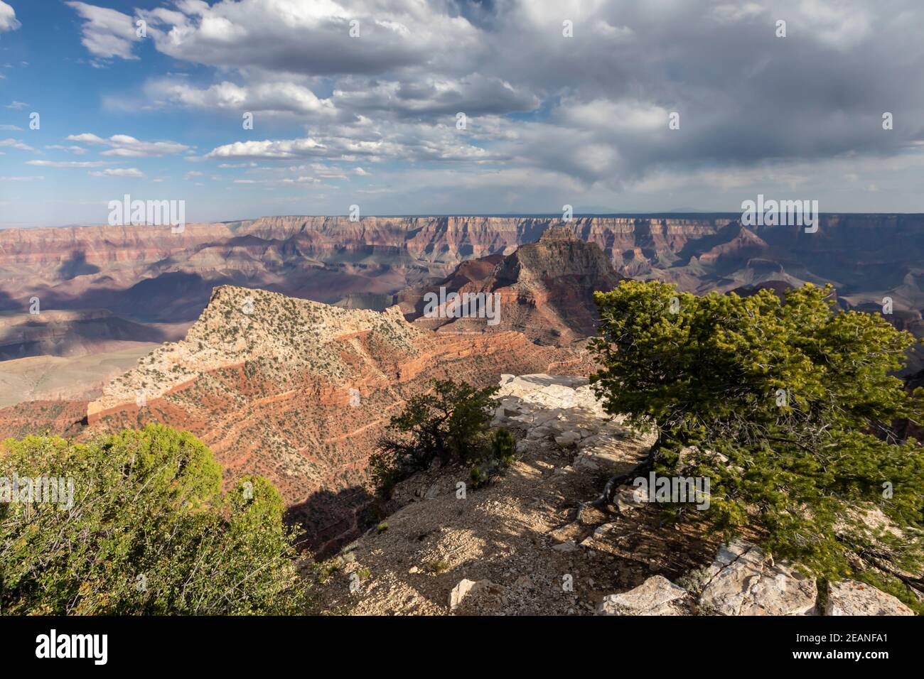 Blick vom Cape Royal Point auf den Nordrand des Grand Canyon National Park, UNESCO Weltkulturerbe, Arizona, USA Stockfoto