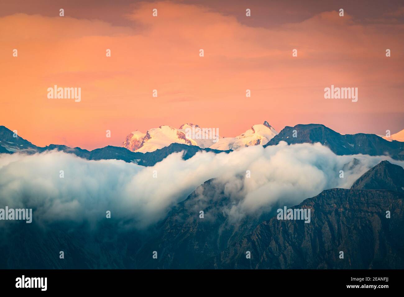 Brennender Himmel bei Sonnenaufgang über dem schneebedeckten Monte Rosa, umgeben von einem Meer von Wolken, Kanton Wallis, Schweiz, Europa Stockfoto