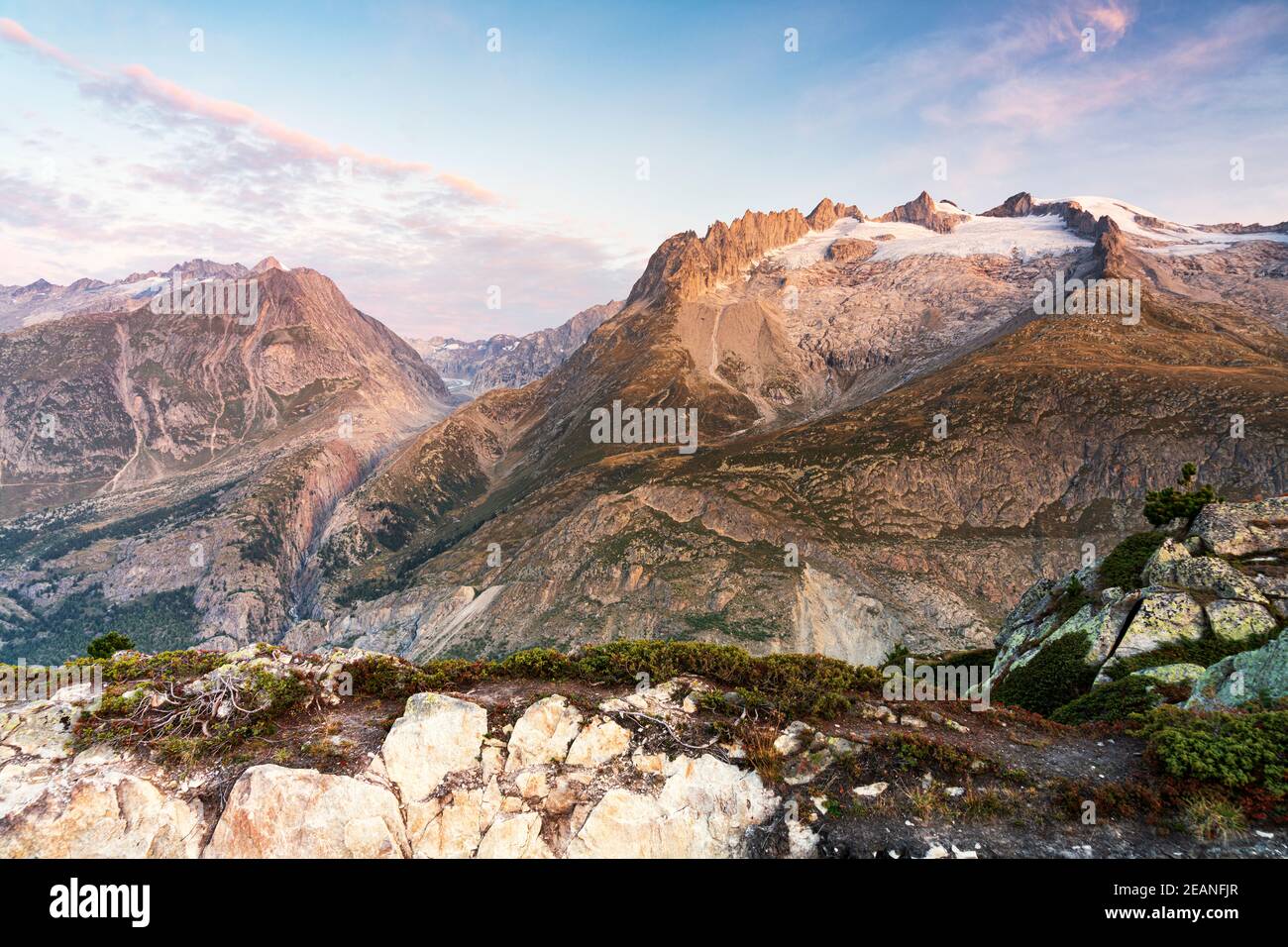 Brutto Fusshorn, Rotstock und Geisshorn bei Sonnenaufgang vom Aussichtspunkt Hohfluh, Riederalp, Berner Alpen, Wallis, Schweiz, Europa Stockfoto