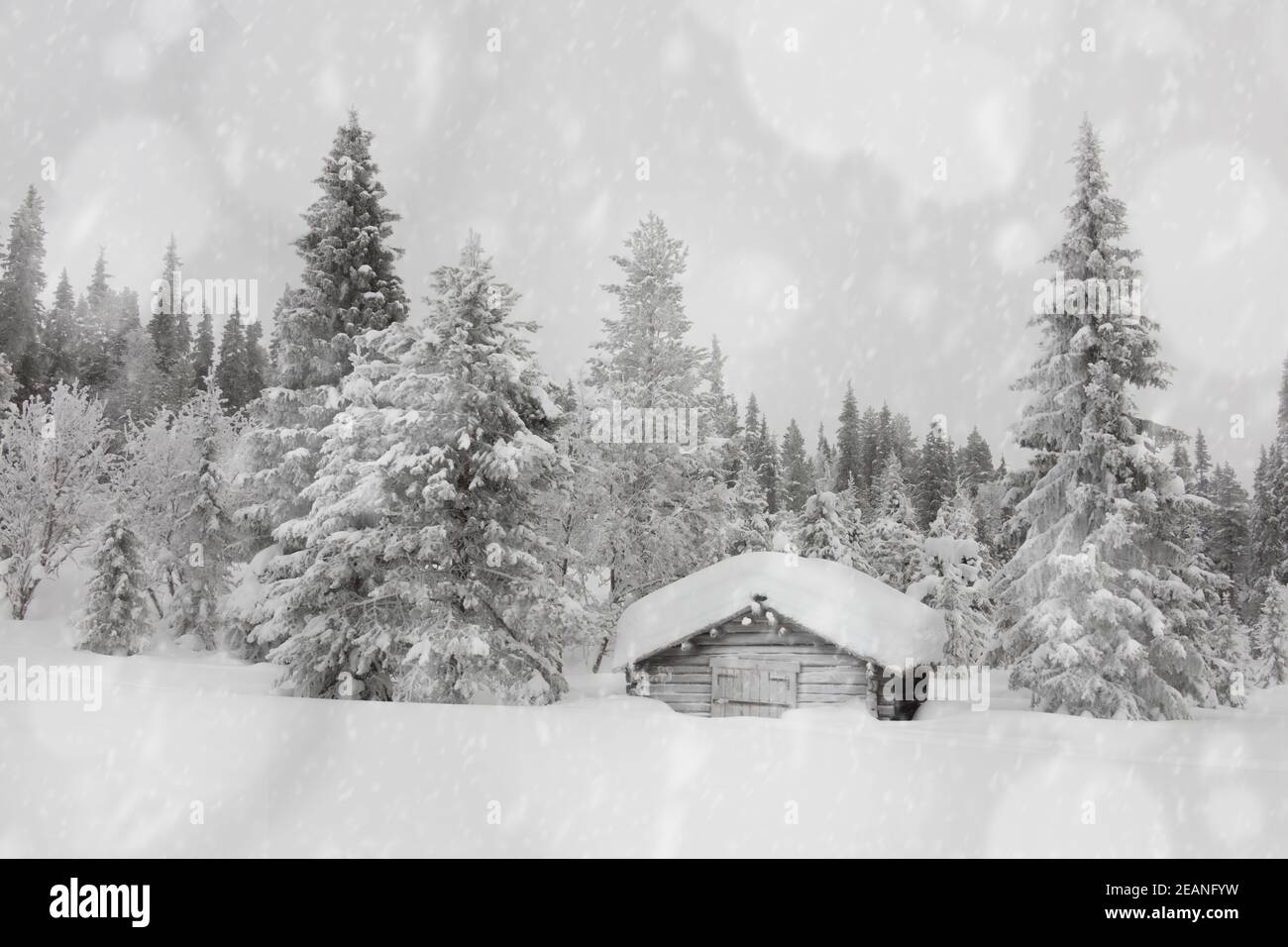 Schneeflocken fallen auf traditionelle Holzhütte im schneebedeckten Wald, Lappland, Finnland, Europa Stockfoto