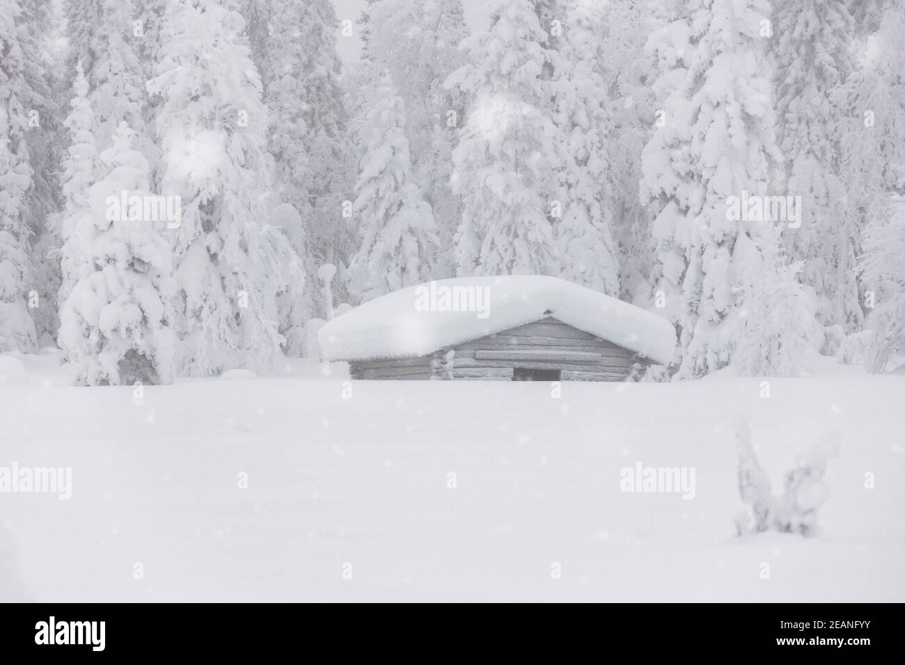 Schneeflocken fallen über Holzhütten und Bäume im mit Schnee bedeckten arktischen Wald, Lappland, Finnland, Europa Stockfoto