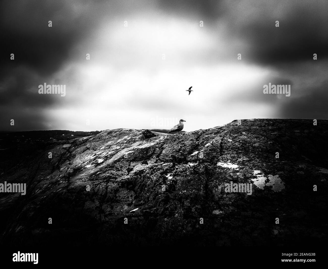 Silhouette eines Vogels gegen den Himmel und Berge - DrÃ¸bak Stockfoto