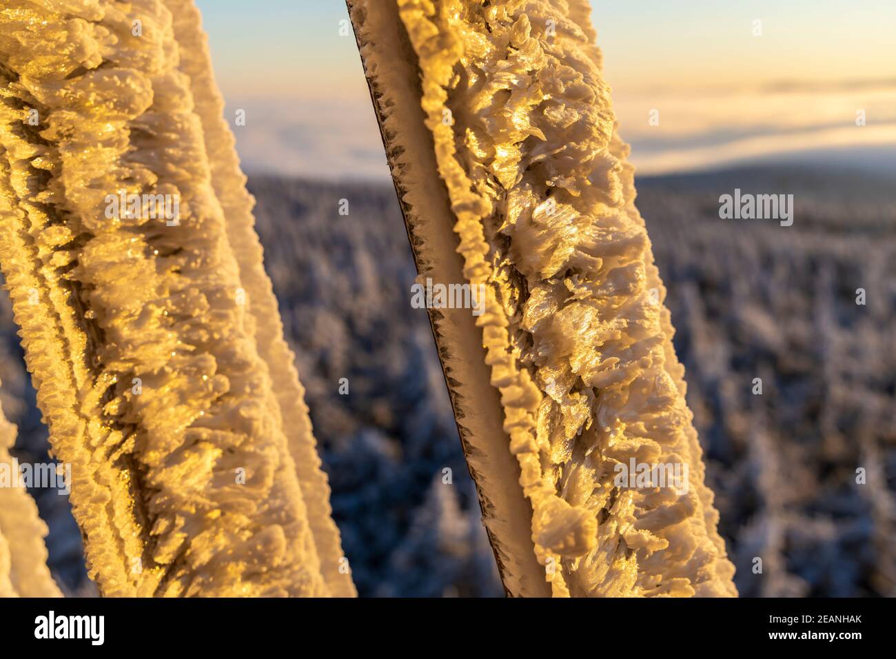 Aussichtsturm, Velka Destna, Orlicke Berge, Ostböhmen, Tschechische Republik Stockfoto