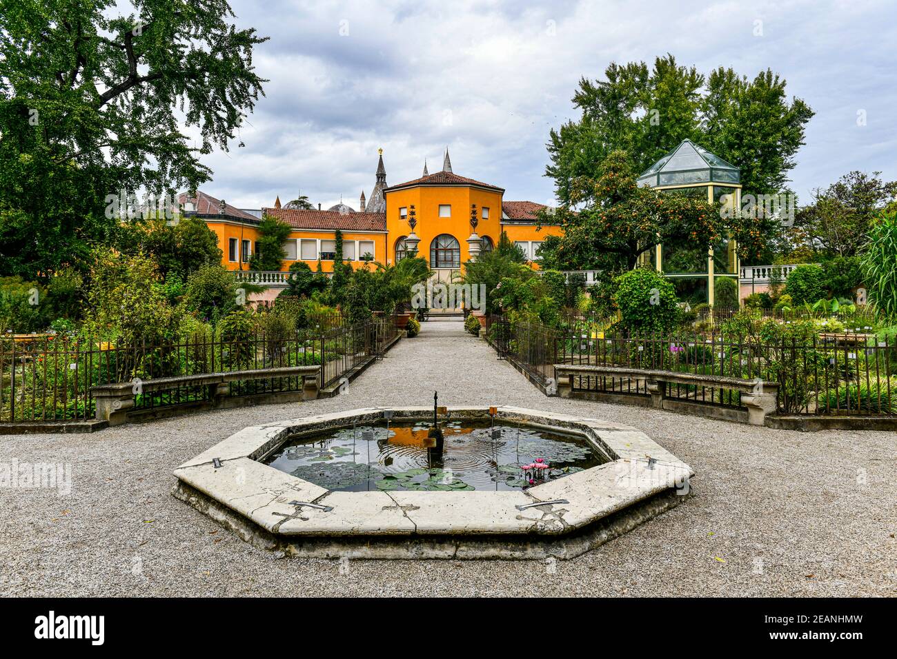 Orto Botanico di Padova, ältester botanischer Garten, UNESCO-Weltkulturerbe, Padua, Venetien, Italien, Europa Stockfoto