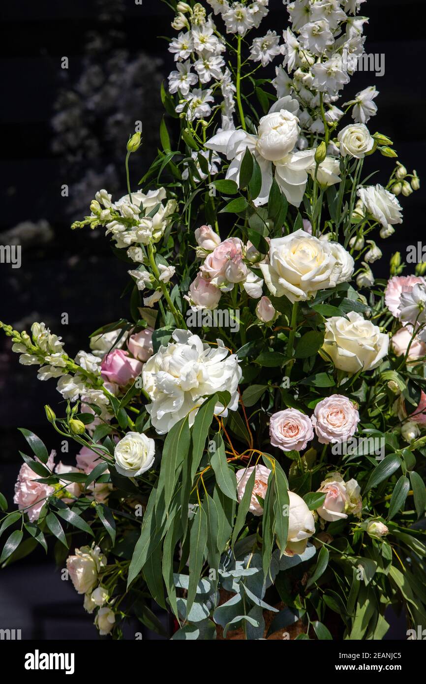 Beeindruckendes floristisches Bouquet von weißen Rosen und Delphinium - grün Drehen Stockfoto