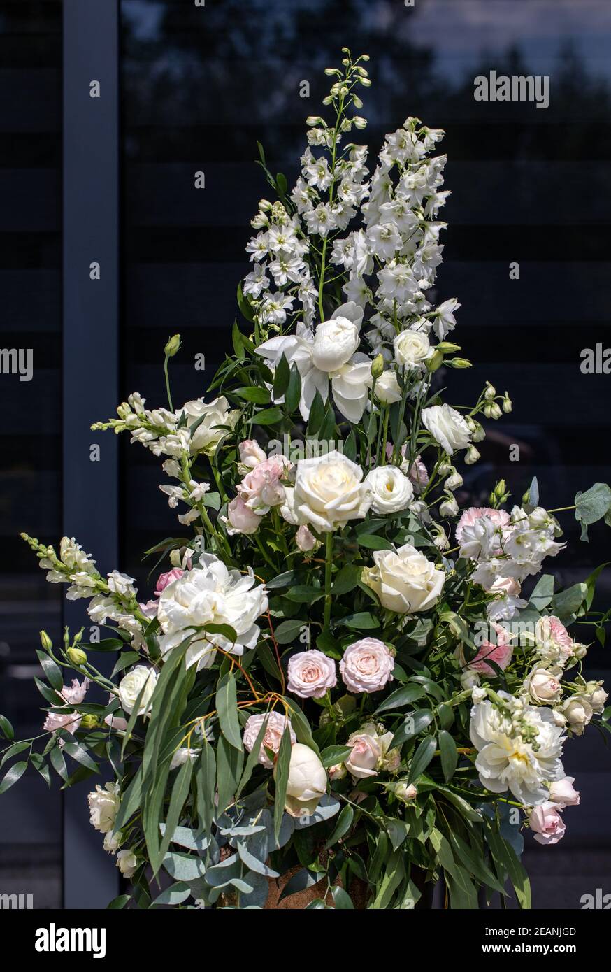 Beeindruckendes floristisches Bouquet von weißen Rosen und Delphinium - grün Drehen Stockfoto