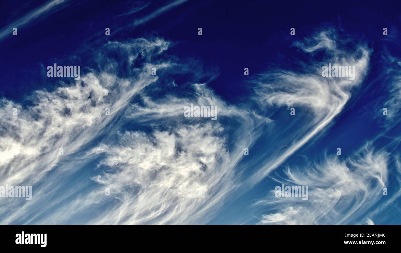 Cirruswolken Stockfoto