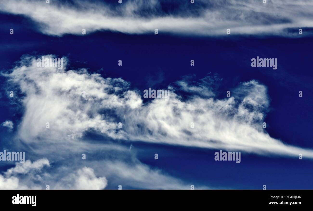 Kopf in den Wolken Stockfoto