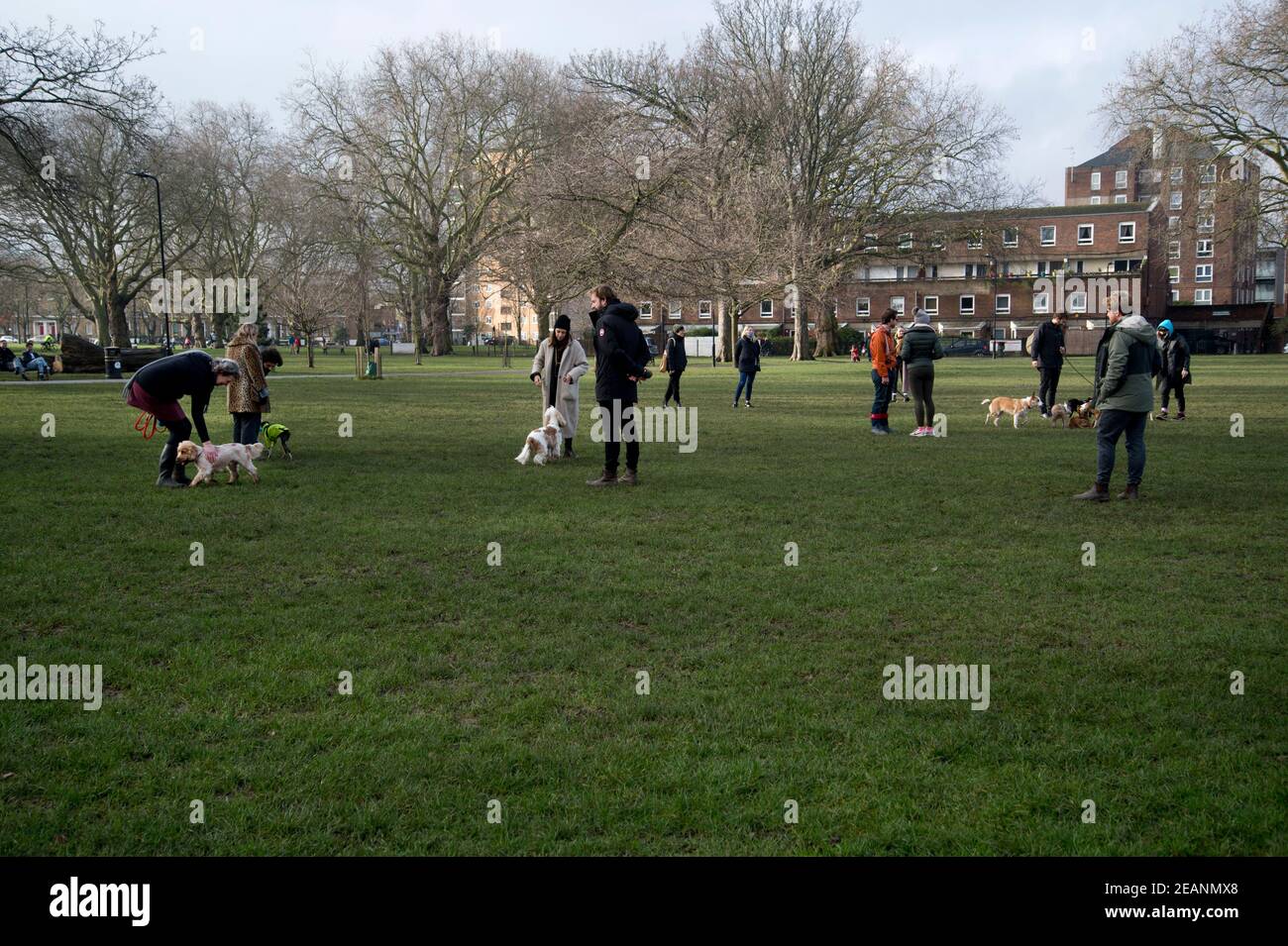 Februar in Hackney. London Fields. Hundebesitzer plaudern. Stockfoto