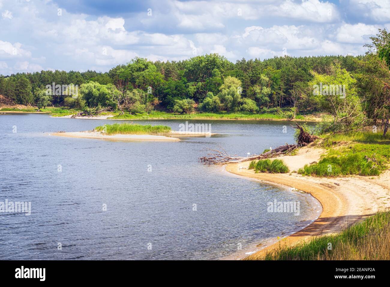 Kleiner Strand mit Insel auf einem See, der von Birken- und Kiefernwald erklingt. Stockfoto