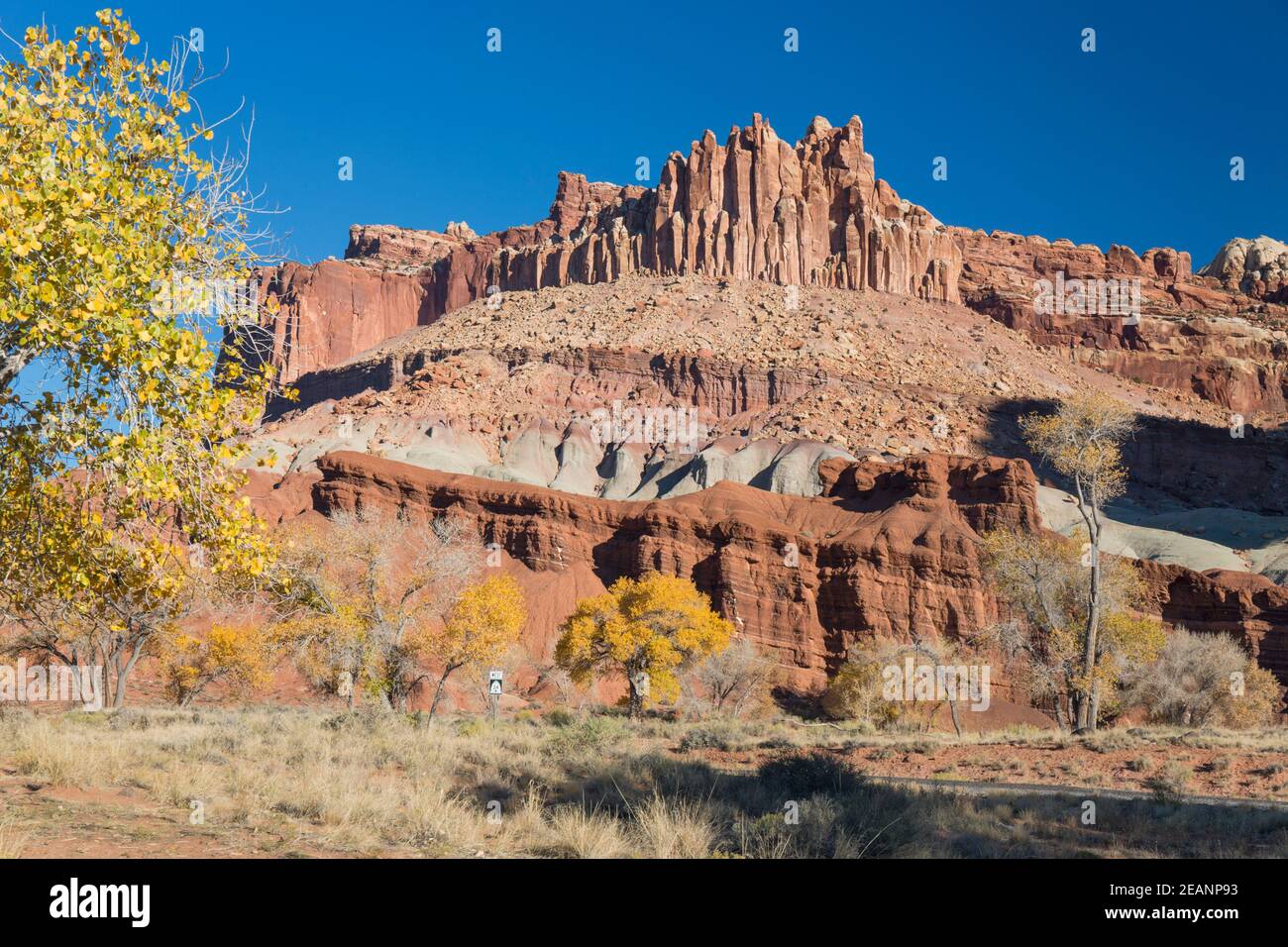 The Castle, ein ikonischer Sandsteingipfel, der Teil der Waterpocket Fold ist, Herbst, Fruita, Capitol Reef National Park, Utah, Vereinigte Staaten von Amerika Stockfoto