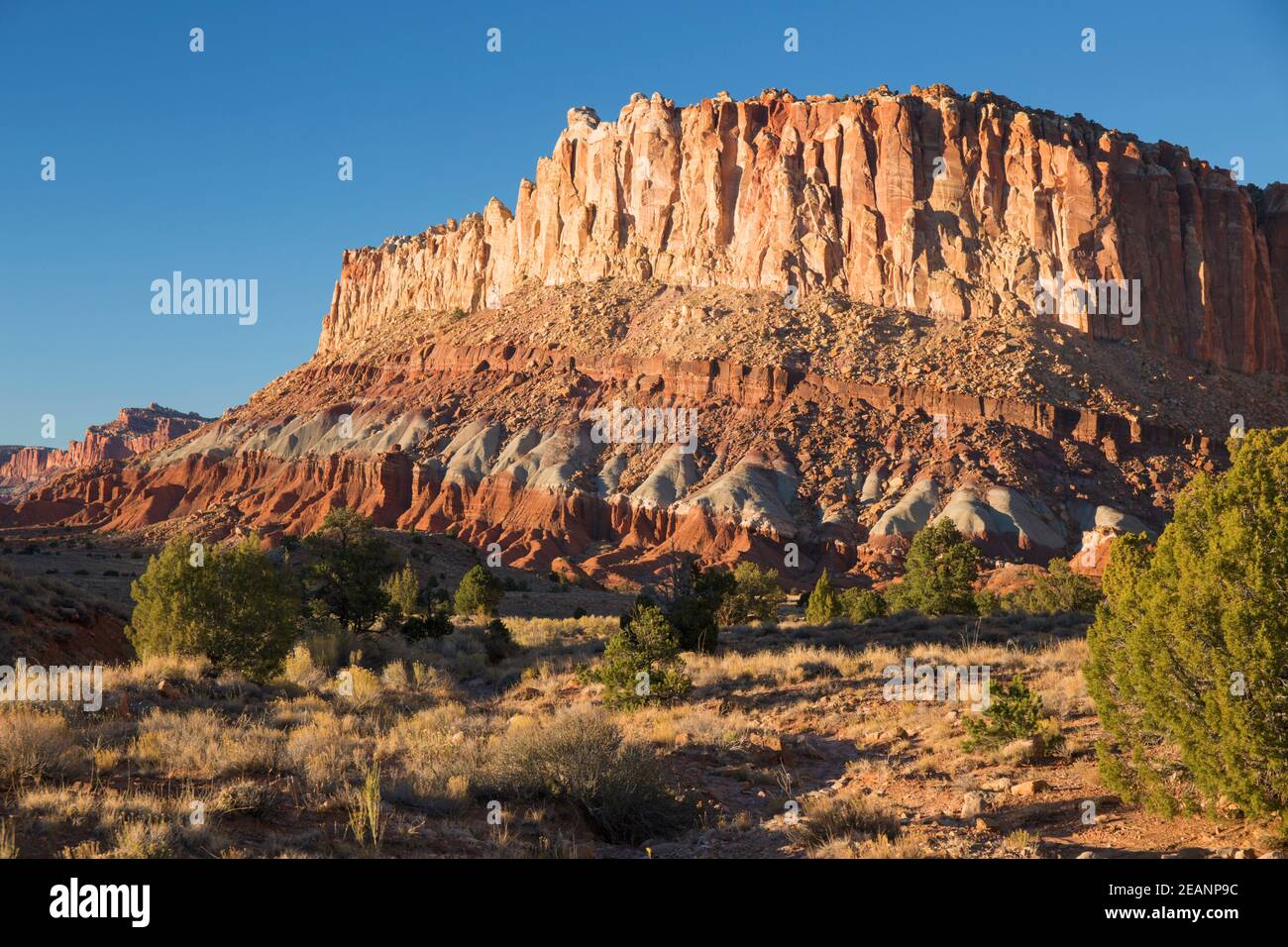 Sandsteinklippen der Waterpocket Fold ragen über Scenic Drive, Sonnenuntergang, Fruita, Capitol Reef National Park, Utah, Vereinigte Staaten von Amerika Stockfoto