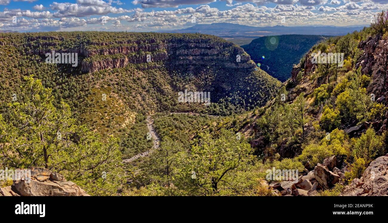 Oberer Abschnitt des Bear Canyon nach Süden ausgerichtet, im nordöstlichen Teil des Prescott National Forest in der Nähe von Drake, Arizona, USA Stockfoto
