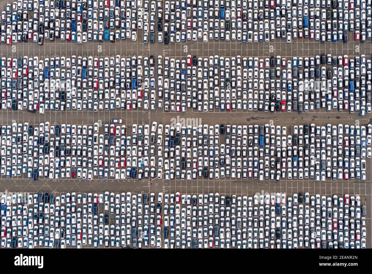 Neuwagen, Tilbury Docks, Tilbury, Port of London, Essex, England, Vereinigtes Königreich, Europa Stockfoto