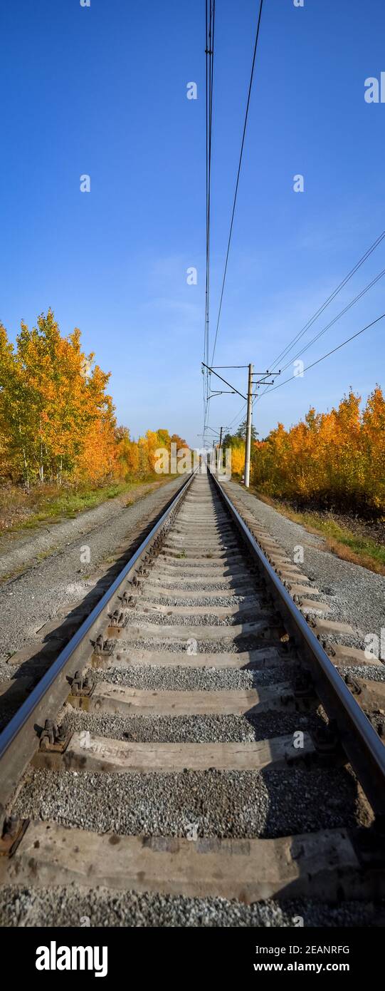 Die Bahn führt durch einen schönen Herbstwald mit bunten Bäumen. Stockfoto