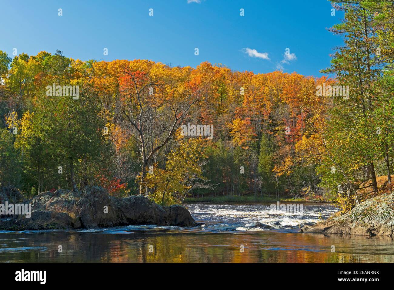 North Woods River rauscht zum Fall Stockfoto