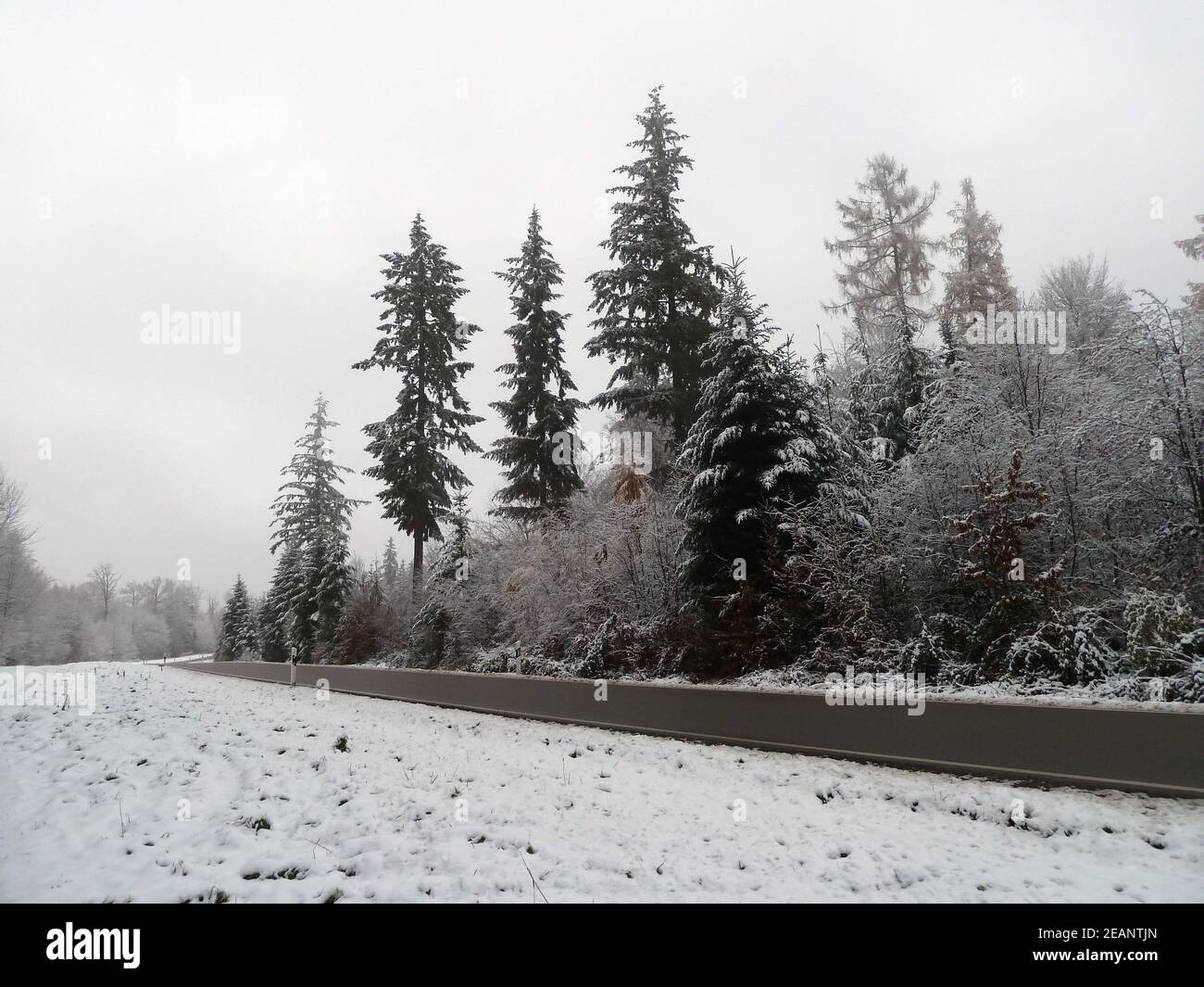 Leere Straße im Schnee Stockfoto