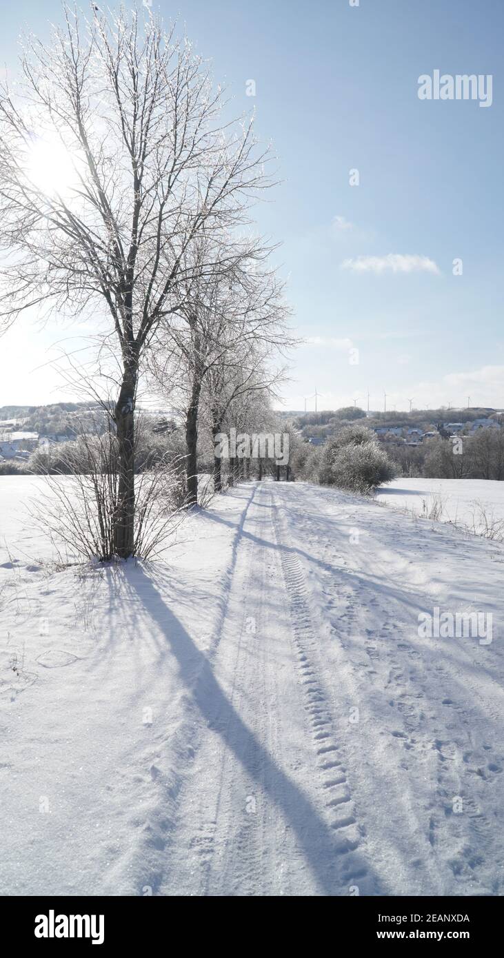 Kalte frostige Winterlandschaften mit Bäumen und gefrorenen Ästen im Winter in der Nähe von Fulda, Deutschland. Stockfoto