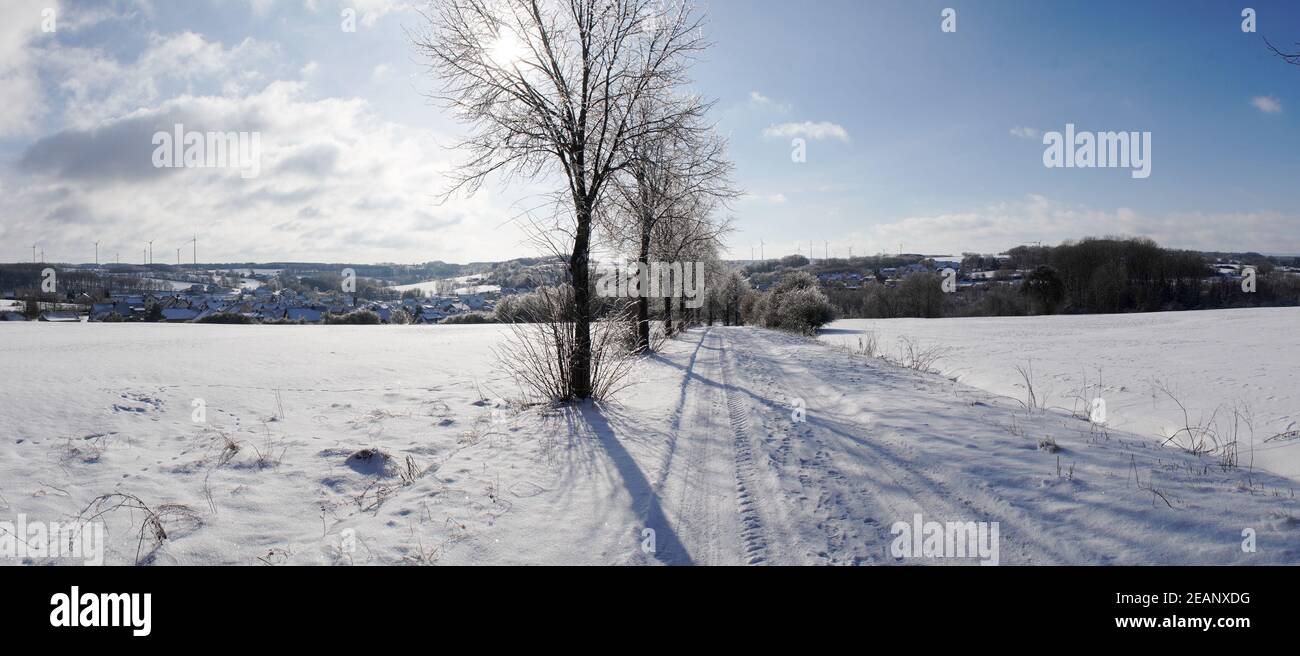 Kalte frostige Winterlandschaften mit Bäumen und gefrorenen Ästen im Winter in der Nähe von Fulda, Deutschland. Stockfoto