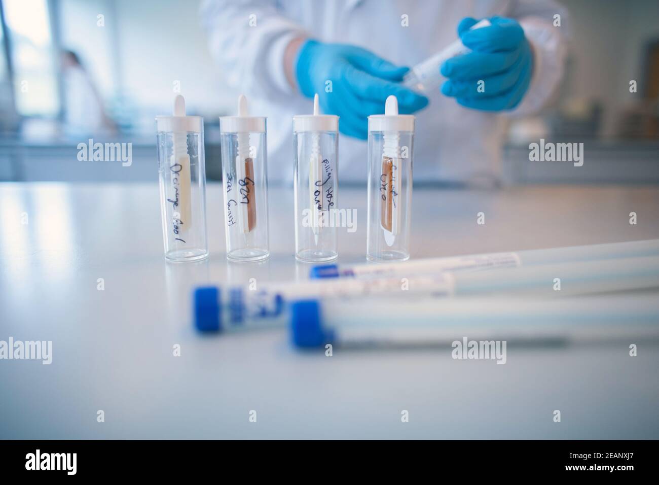 Laborant bereitet Proben für medizinische Tests im Labor vor Stockfoto