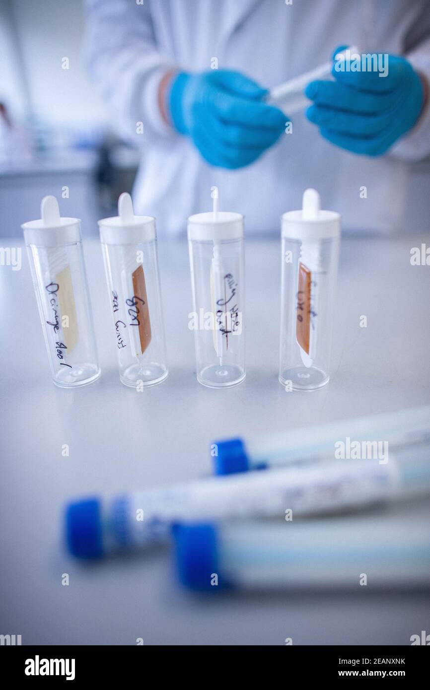 Laborant bereitet Proben für medizinische Tests im Labor vor Stockfoto