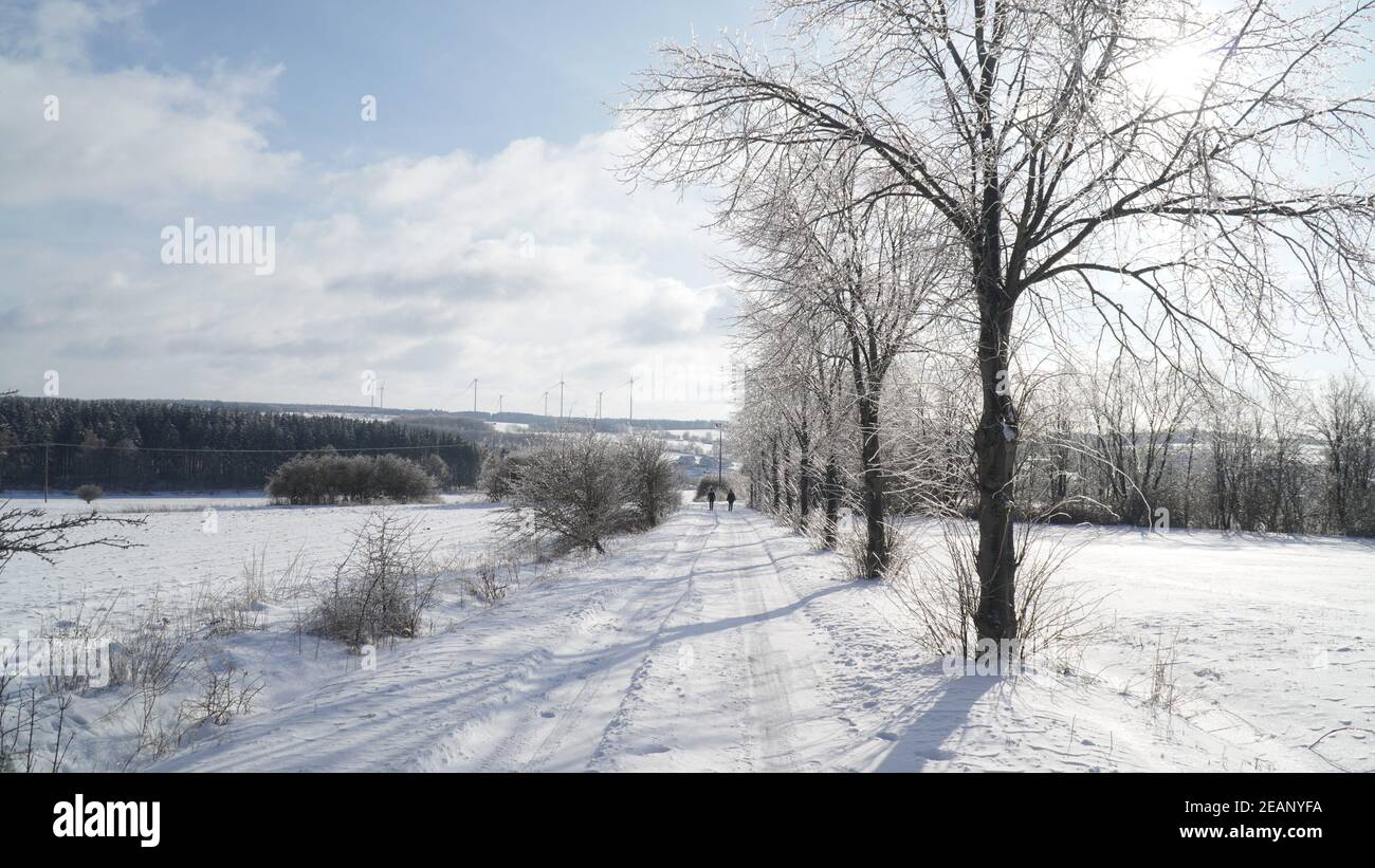 Kalte frostige Winterlandschaften mit Bäumen und gefrorenen Ästen im Winter in der Nähe von Fulda, Deutschland. Stockfoto