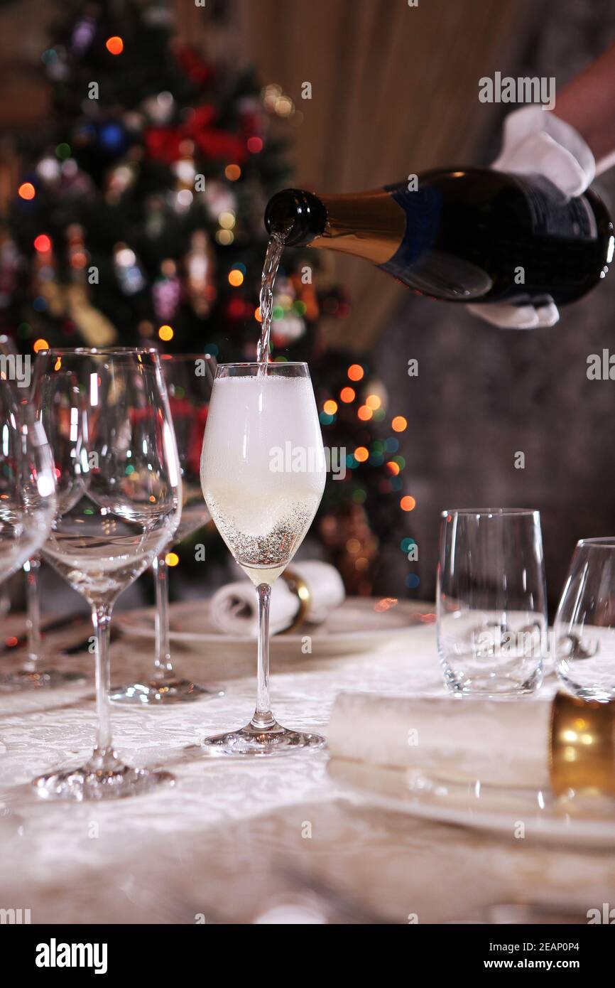 Champagner gießt in einen hohen Glaskelch. Makrofoto ohne Gesicht im Innenraum. Weihnachtsbaum aus dem Fokus. Stockfoto