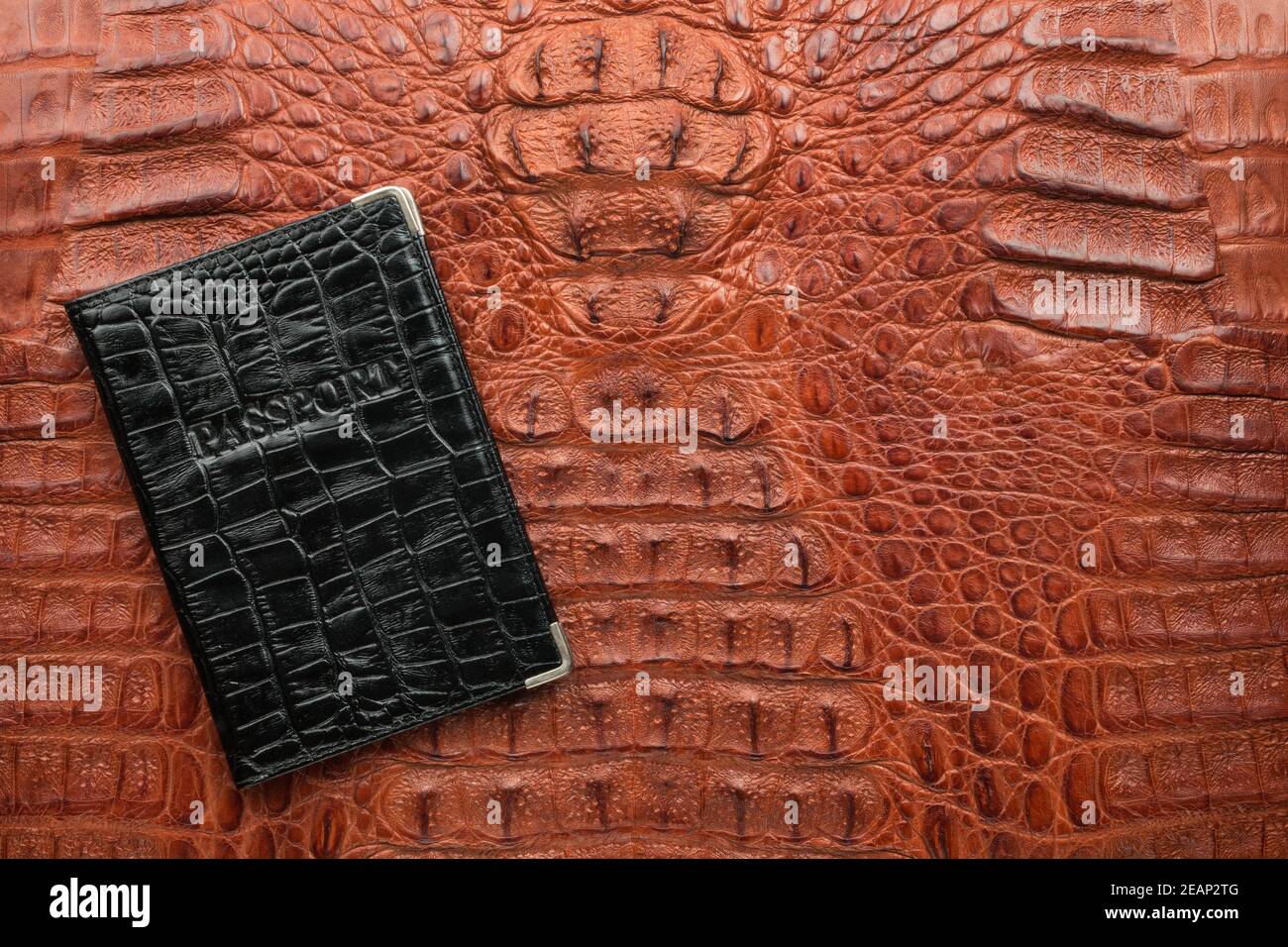 Schwarzer Lederpass auf brauner Krokodilhaut. Mit Platz für Design, Text Ort. Stockfoto