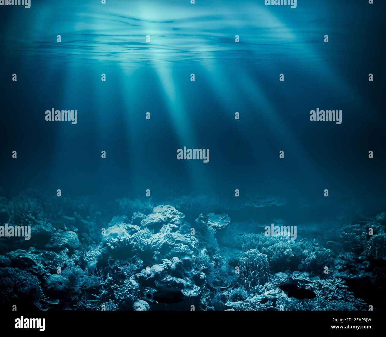 Tiefes Meer oder Ozean unter Wasser mit Korallenriff als Hintergrund für Ihr design Stockfoto