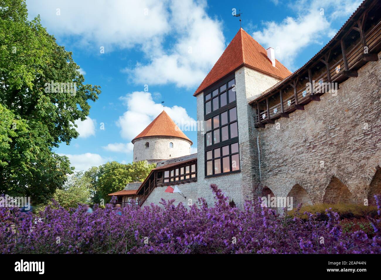 Altes Tallinn im Sommer Stockfoto
