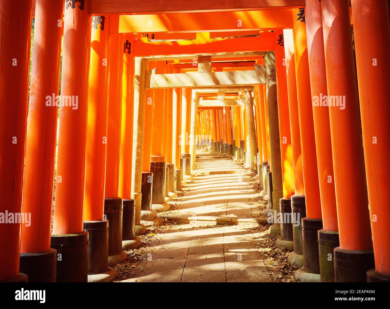 Blick auf Torii Tore in Fushimi Inari Schrein Stockfoto