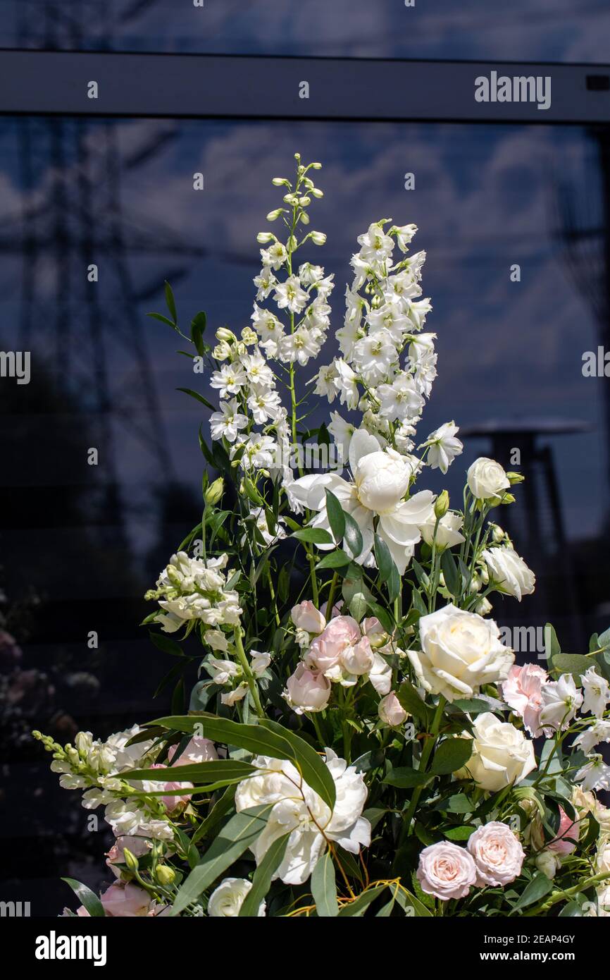 Beeindruckendes floristisches Bouquet von weißen Rosen und Delphinium - grün Drehen Stockfoto